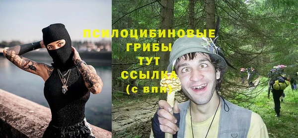 хмурый Арсеньев
