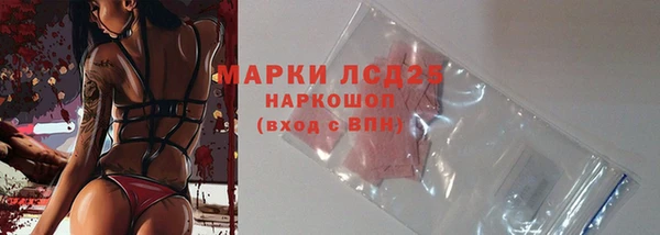 хмурый Арсеньев