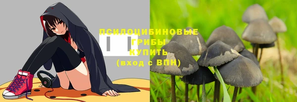 хмурый Арсеньев
