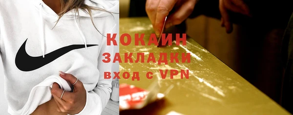 хмурый Арсеньев