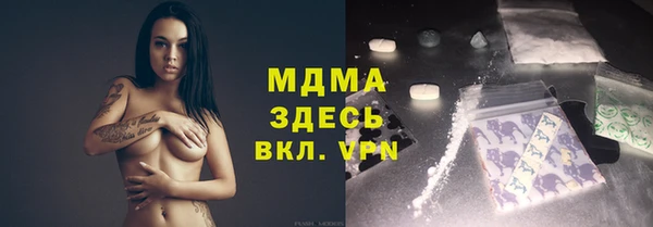 хмурый Арсеньев