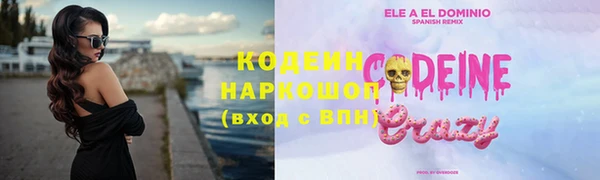 хмурый Арсеньев