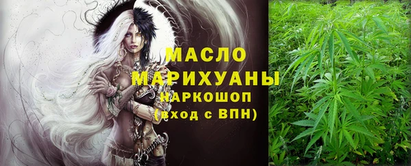 хмурый Арсеньев