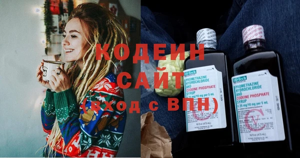 хмурый Арсеньев