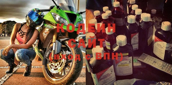 хмурый Арсеньев